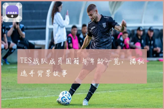 TES战队成员国籍与年龄一览，揭秘选手背景故事