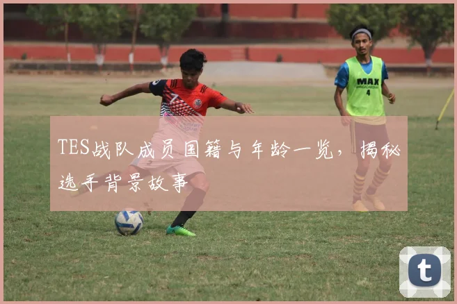 TES战队成员国籍与年龄一览，揭秘选手背景故事