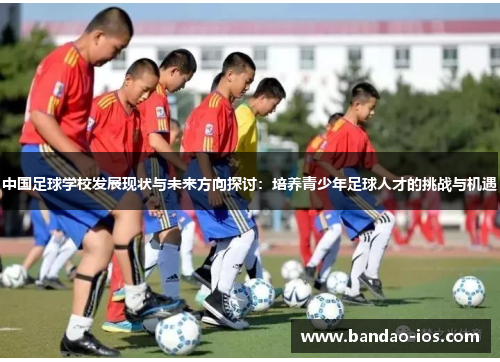 中国足球学校发展现状与未来方向探讨:培养青少年足球人才的挑战与机遇