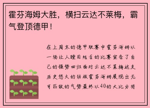 霍芬海姆大胜，横扫云达不莱梅，霸气登顶德甲！